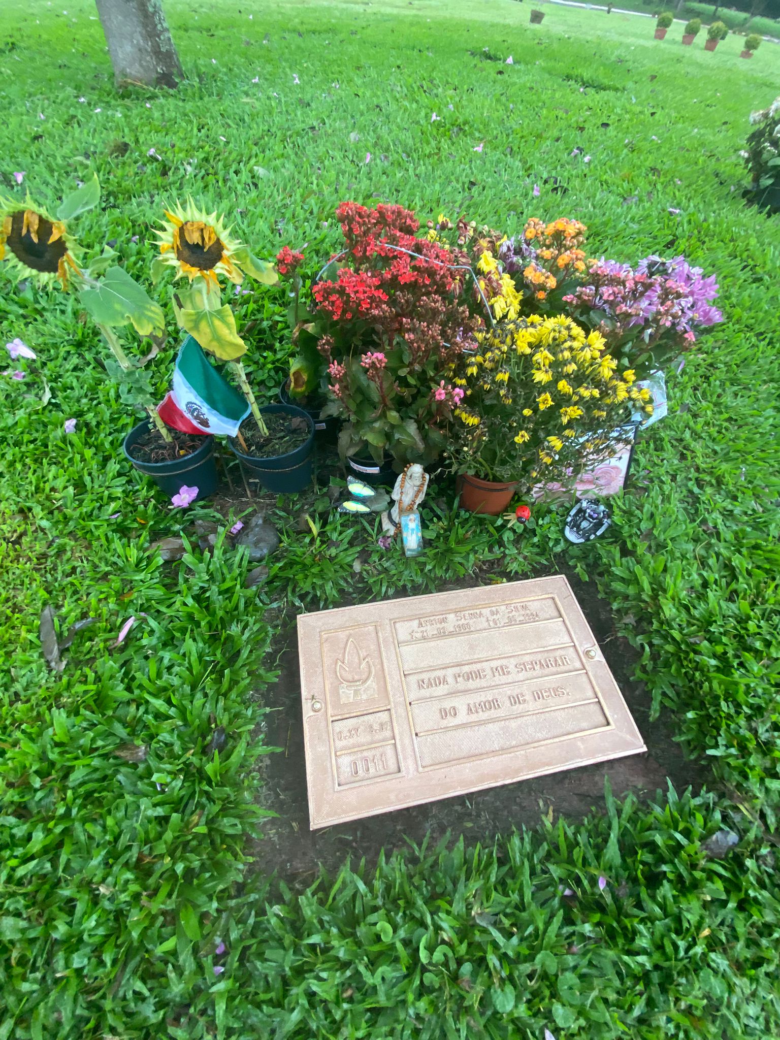 Ayrton Senna, la tomba del pilota: girasoli, una statua di Gesù, un