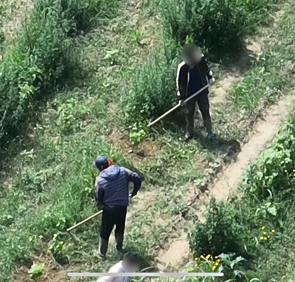Migranti sfruttati nei campi, nove arresti tra Siena e Grosseto