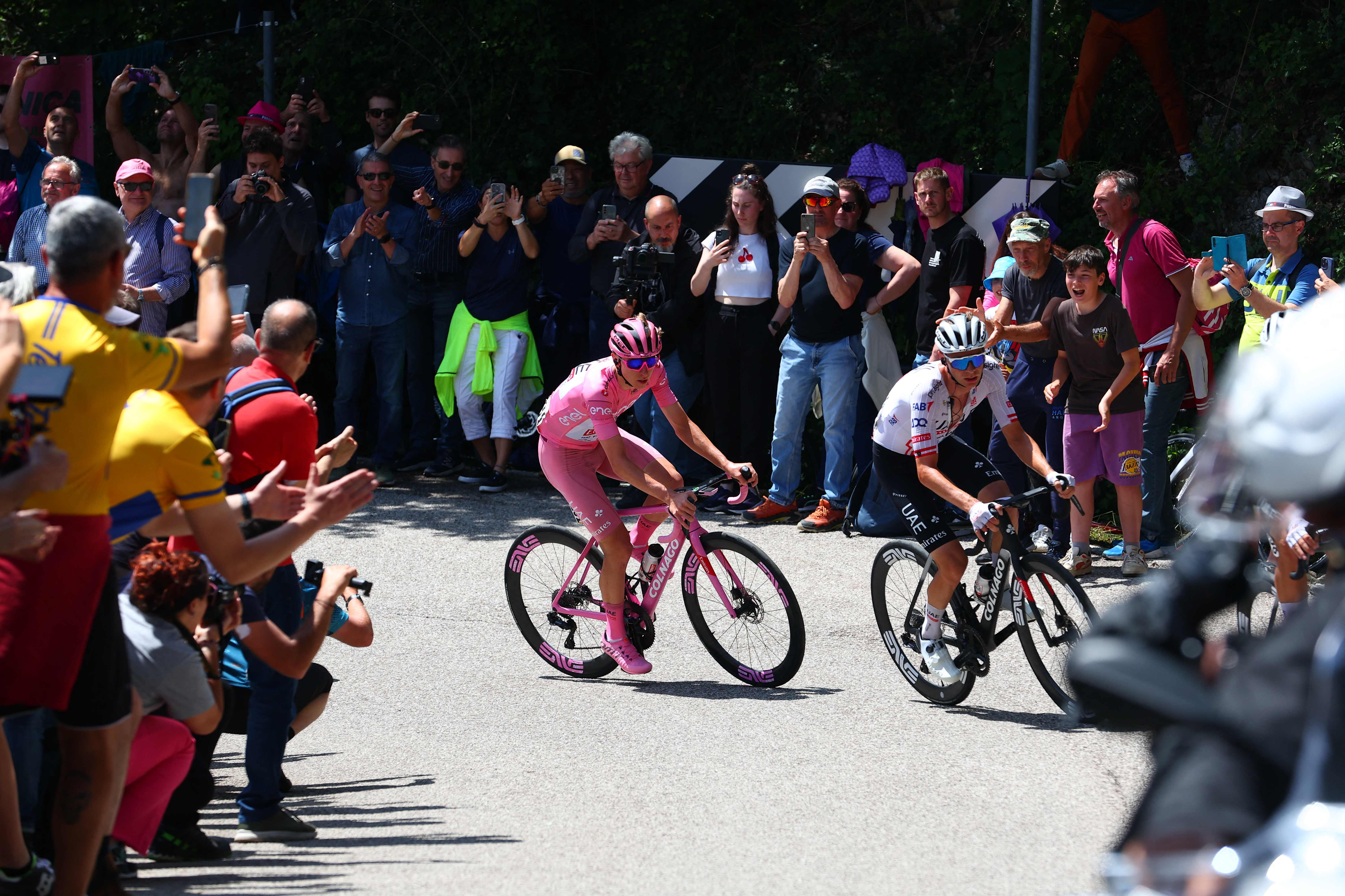 Team UAE's Slovenian rider Tadej Pogacar wearing the overall leader's pink jersey competes near Crespano del Grappa, during the 20th stage of the 107th Giro d'Italia cycling race, 184km between Alpago and Bassano del Grappa on May 25, 2024. (Photo by Luca Bettini / AFP)