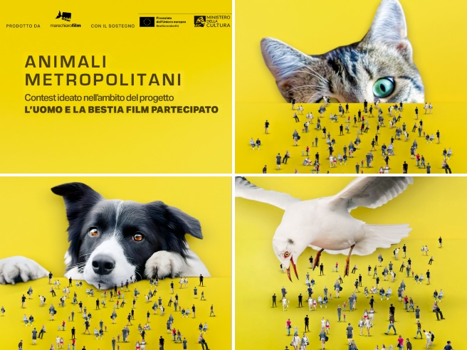 «Animali metropolitani», il contest che racconta l’evoluzione del rapporto uomo-natura: come partecipare