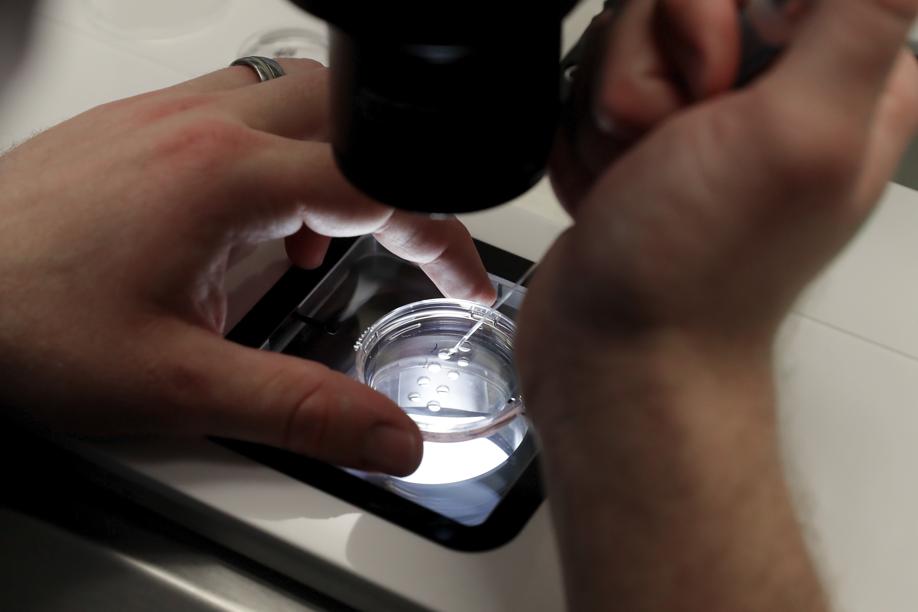 Gran Bretagna, aumenta l'età media delle donne che ricorrono alla fecondazione in vitro