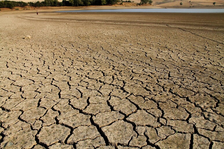 «La Sicilia è la nostra California», il nostro mondo in fiamme: la denuncia del Wwf 