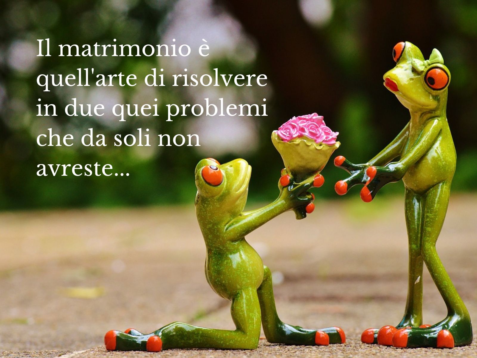 San Valentino Non è Solo La Festa Degli Innamorati Frasi e immagini per San Valentino 2025, perché è la «festa degli