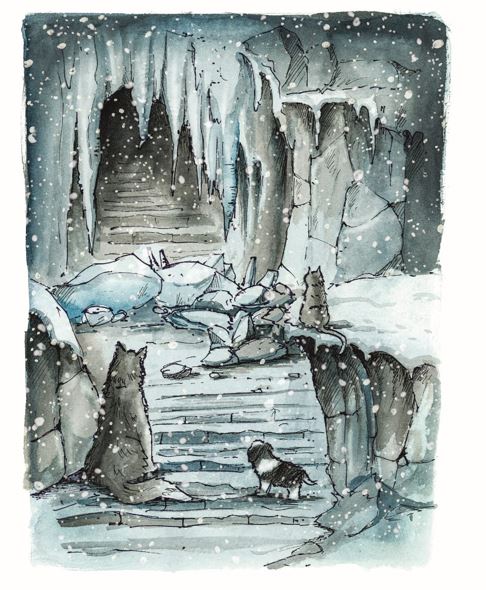 Amaya, the dog who followed the moon to find his family: a story of love, trust and sacrifice