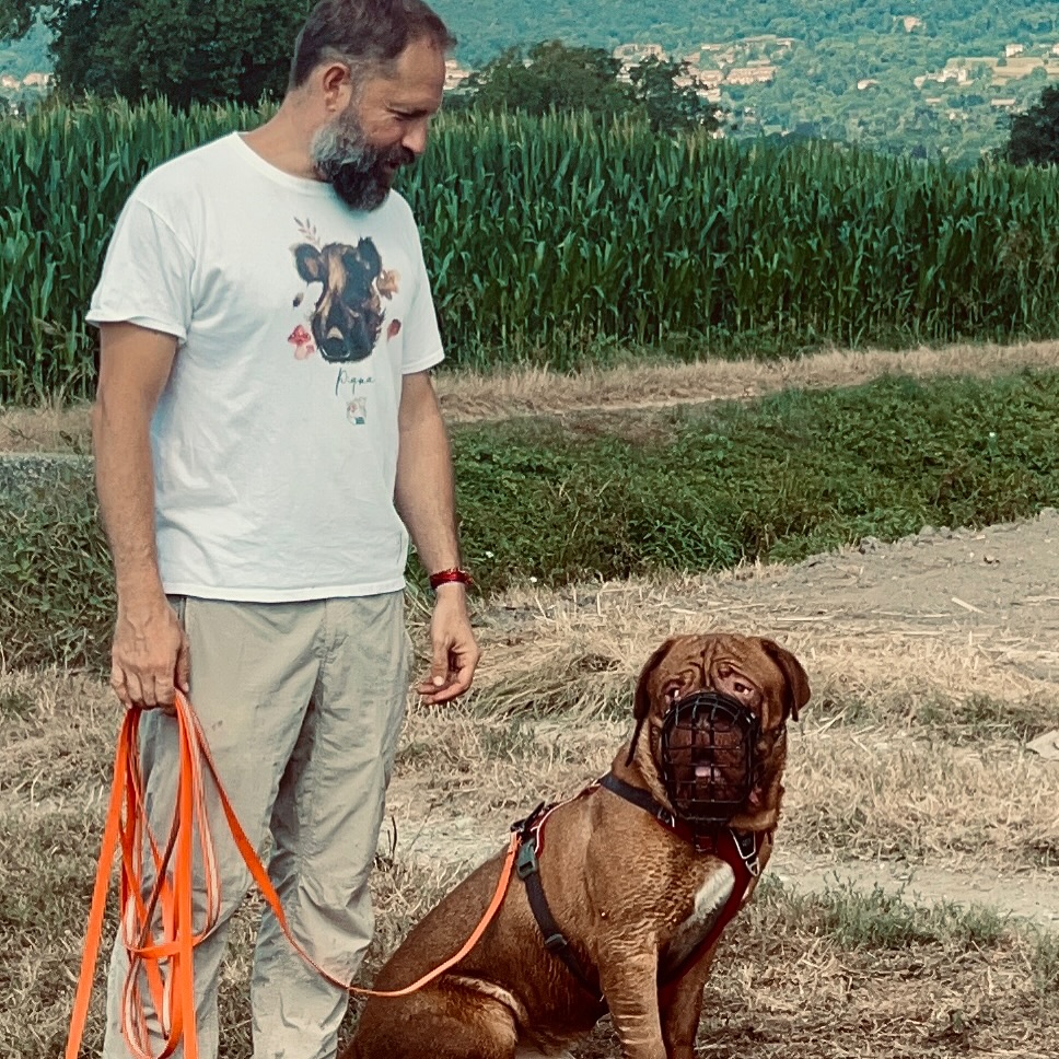 Dogs and attacks, Vaira launches the security protocol