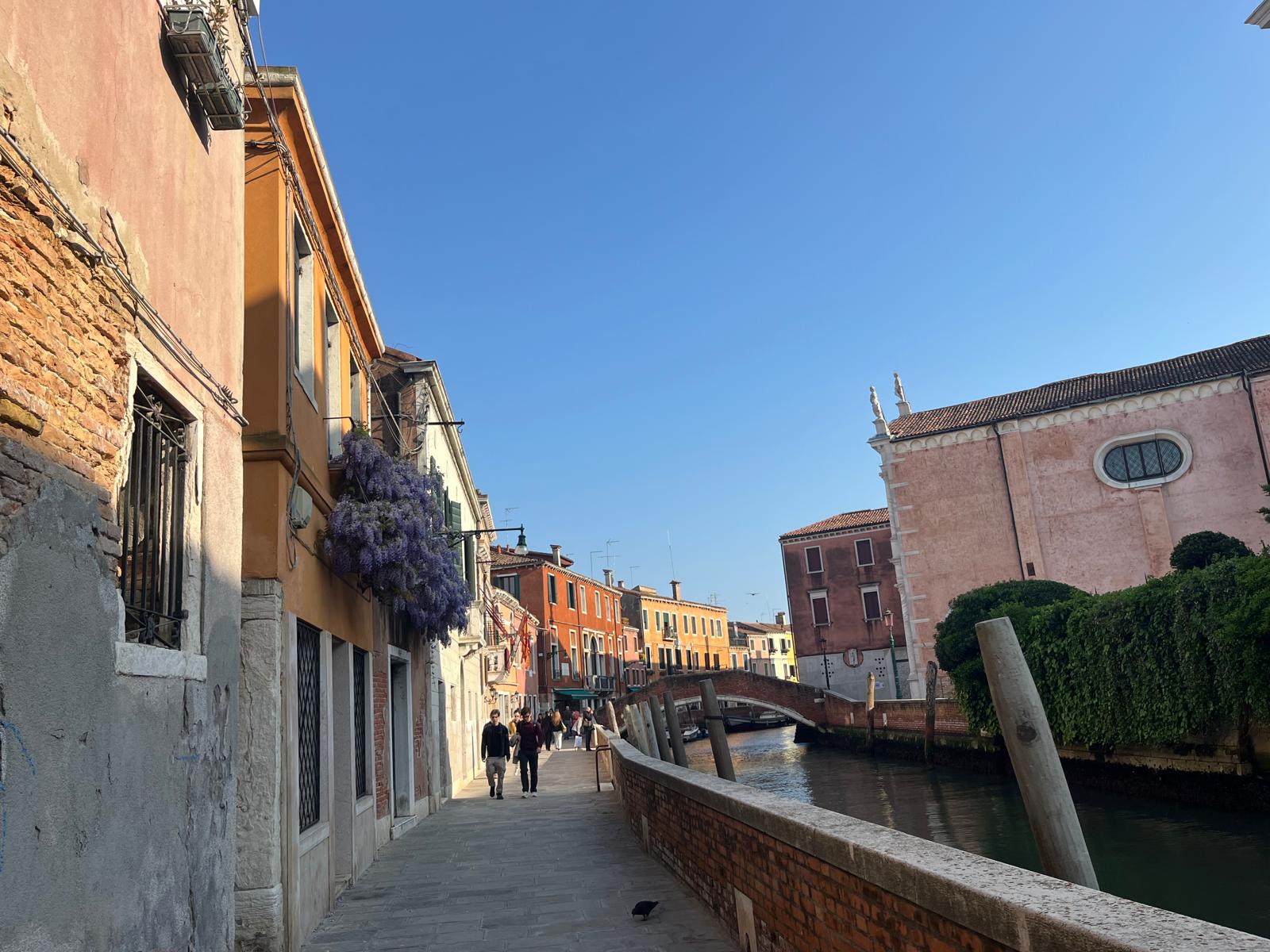 Elisabetta Dr. Venice