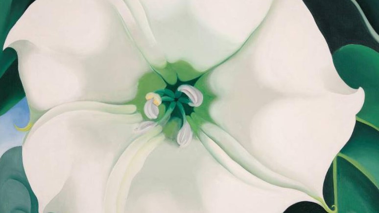 Georgia O ‘Keffeffe, the magnified life and that necessary time (which is missing today) to « really see a flower »