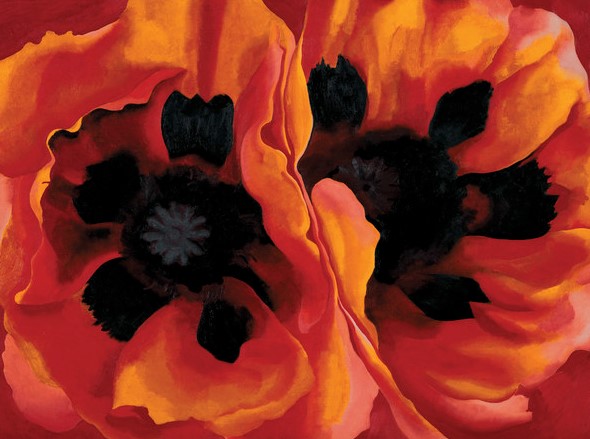 Oriental Poppies, 1927