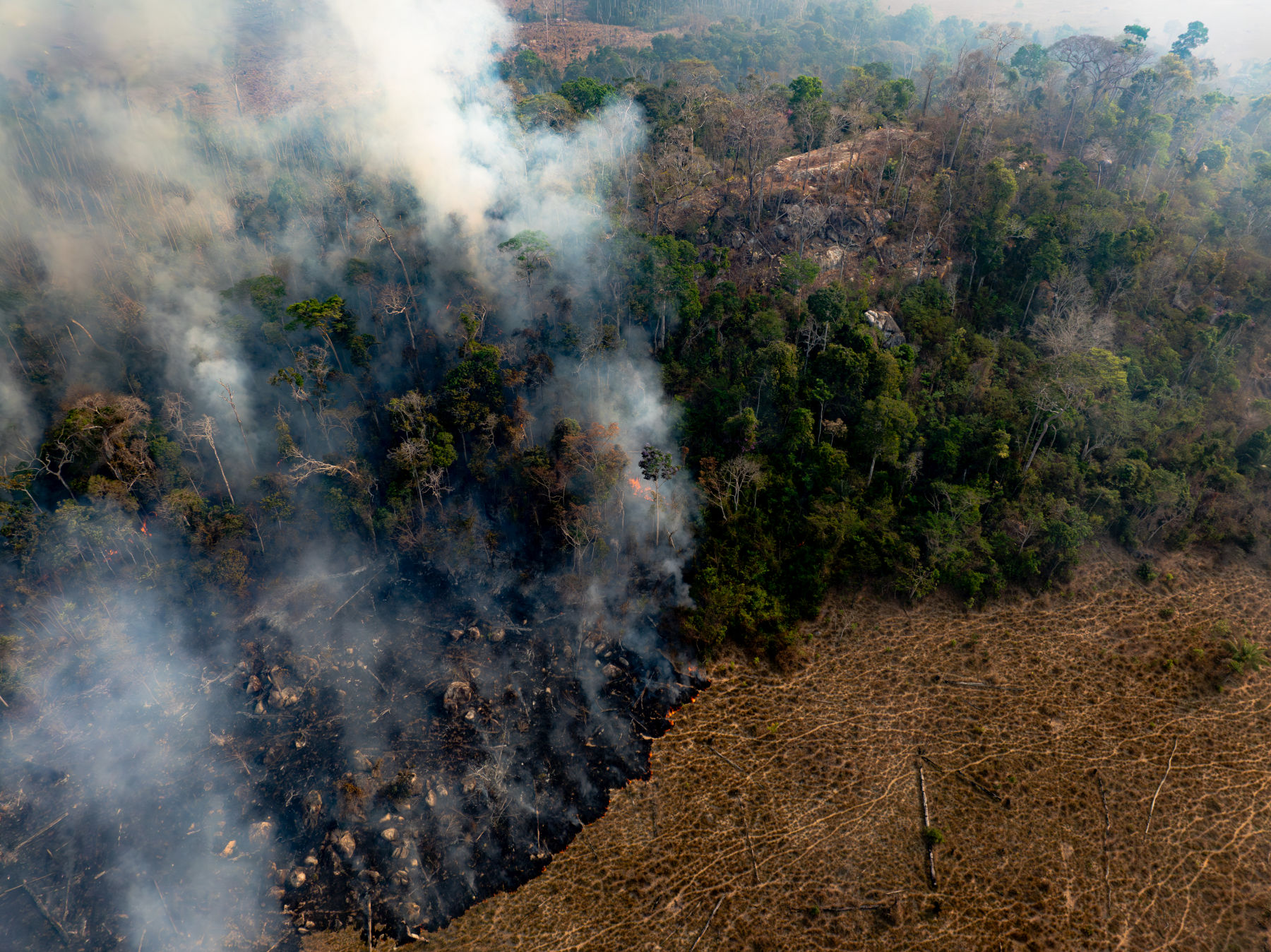 In 15 years we could lose the Amazon: the point of no return is getting closer and closer