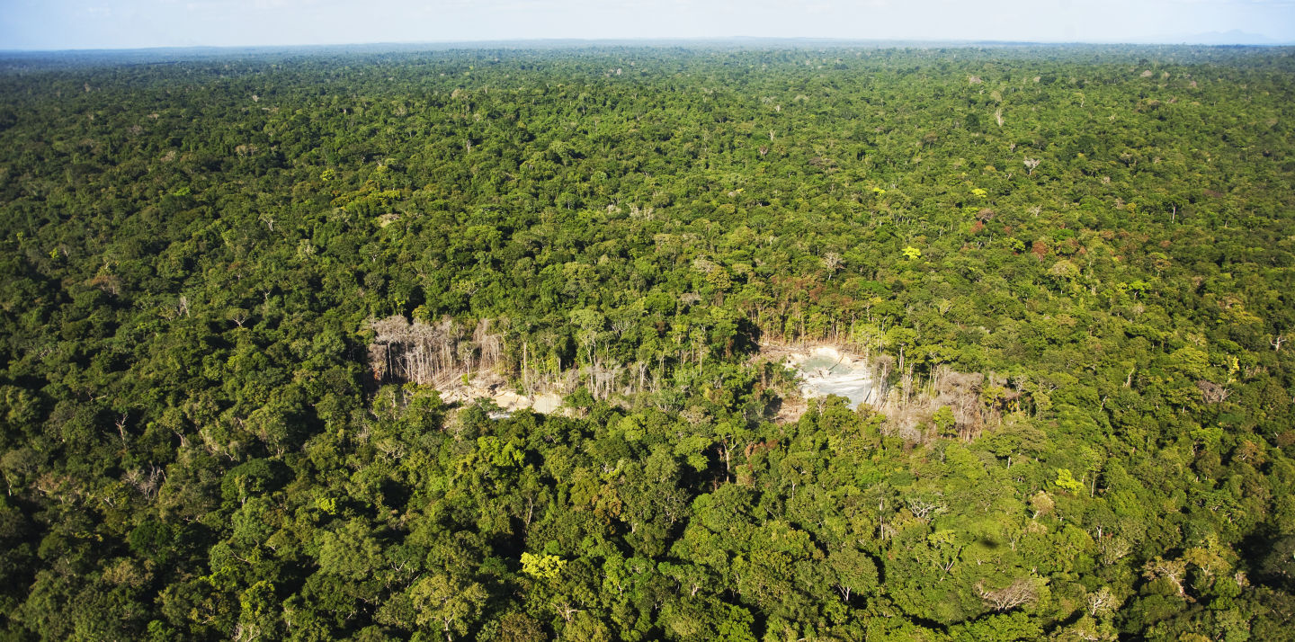 In 15 years we could lose the Amazon: the point of no return is getting closer and closer