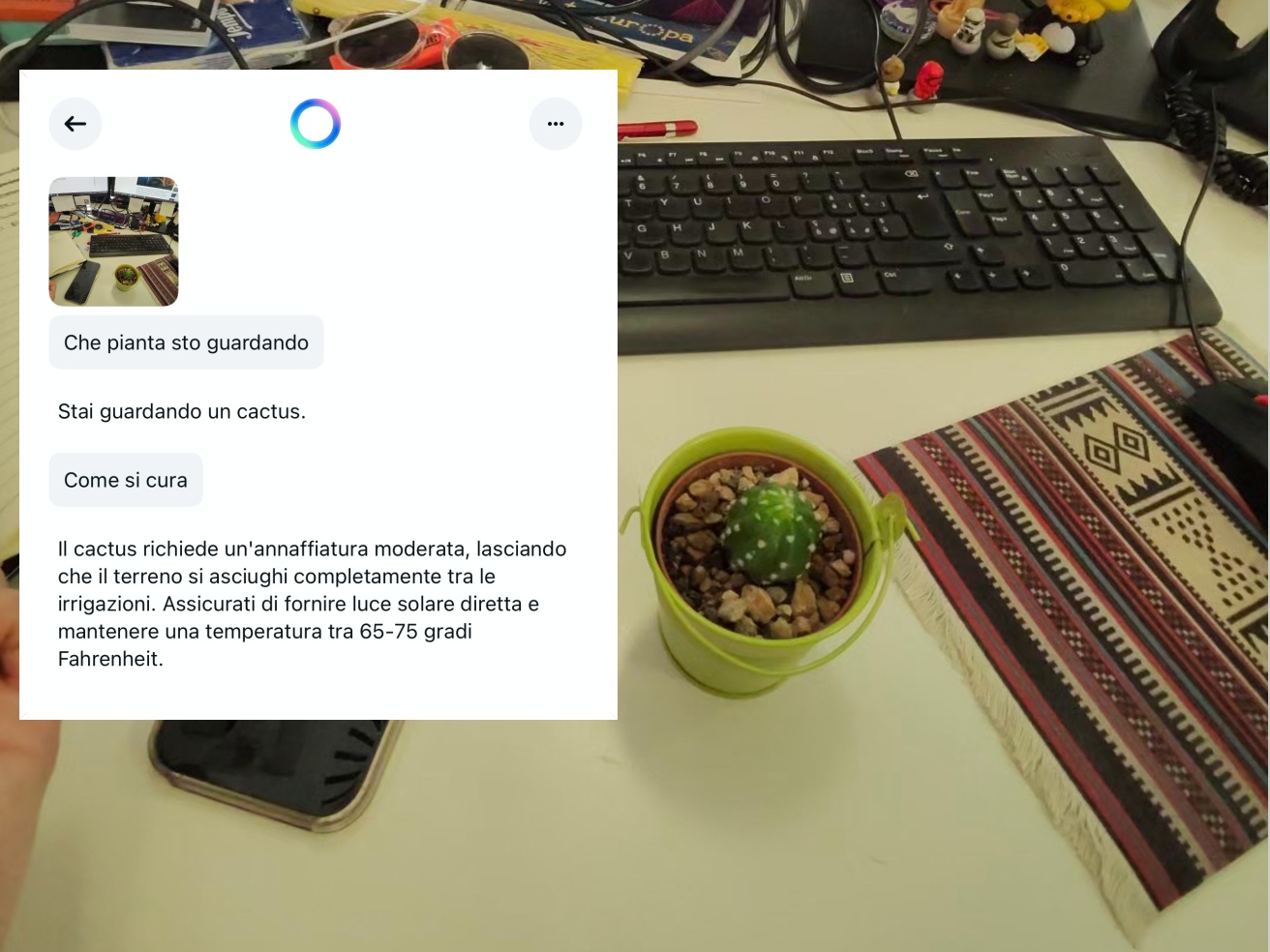On the Ray-Ban Meta comes destination ai, simultaneous translation and information on what you are looking at: how it works