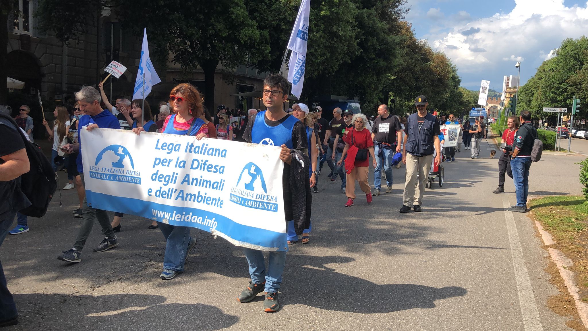 Verona, hundreds of procession to save the beagle used in drug experimentation