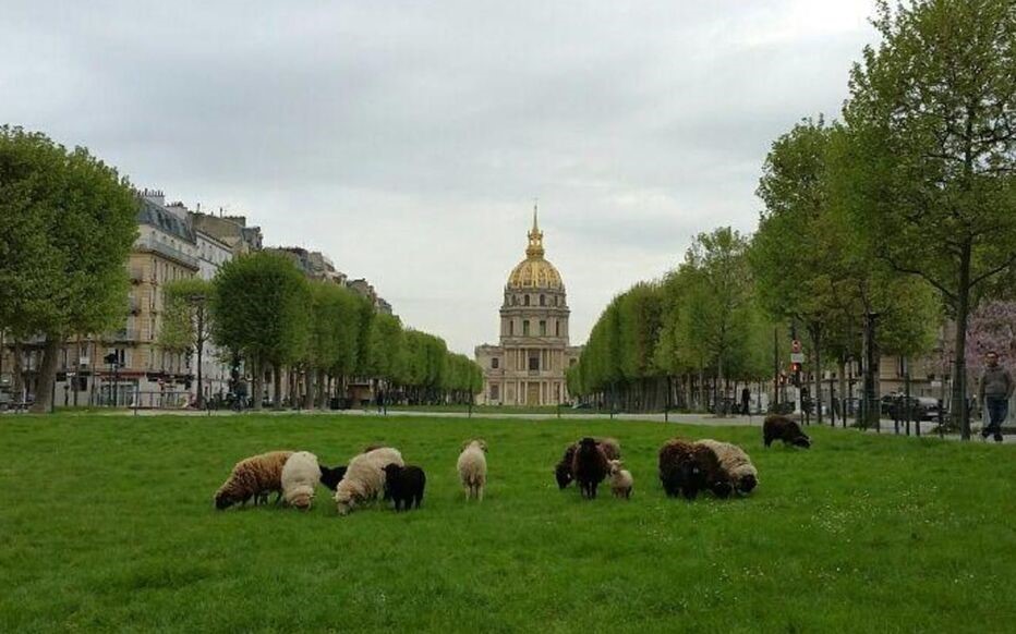 The battle of the mowing: Milan compared with European capitals: how Brussels, Paris, Berlin and London behave