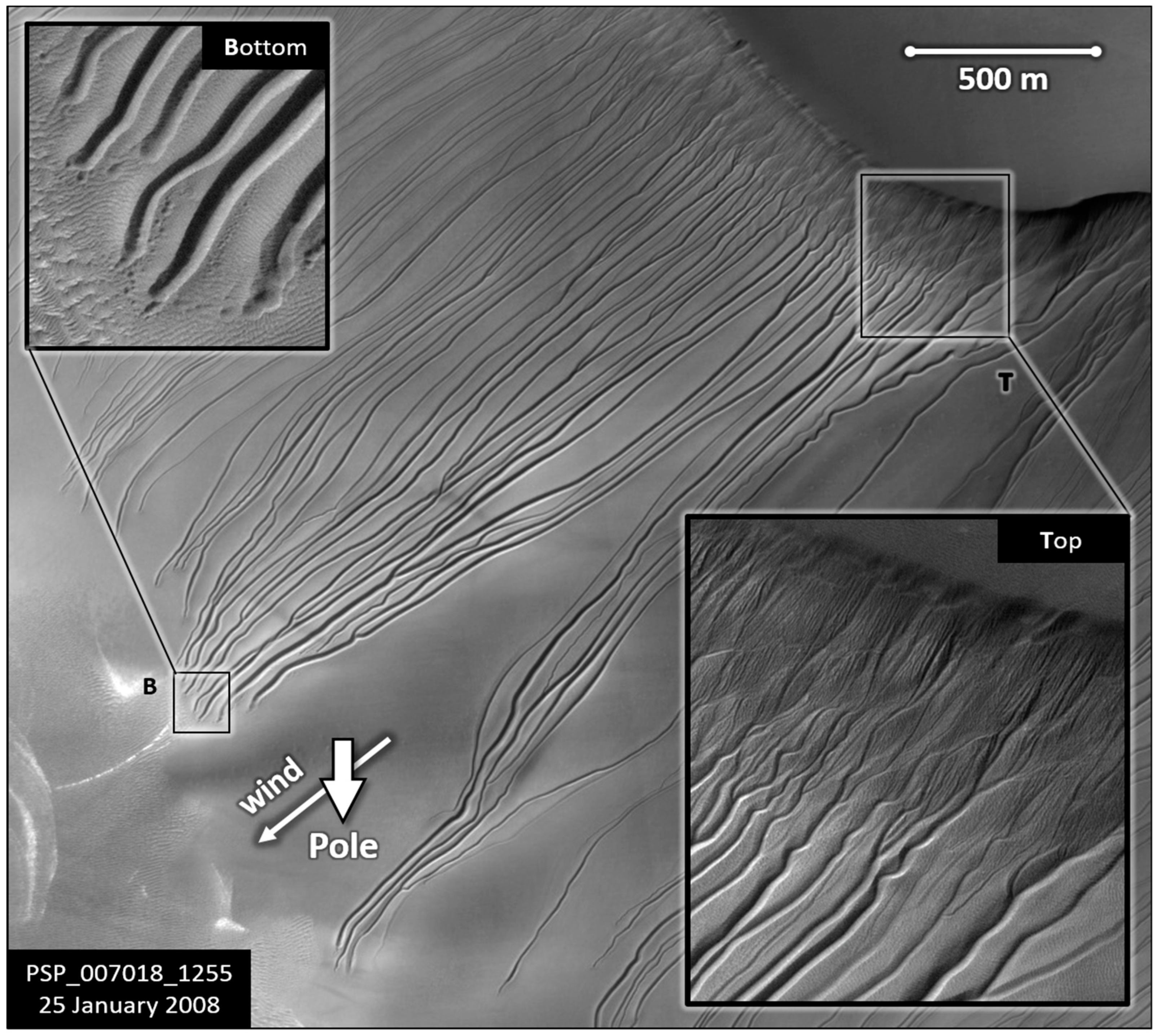 Is there liquid water on the surface of Mars? The dark stripes and the « gullies »: what they are and what they tell us on the red planet