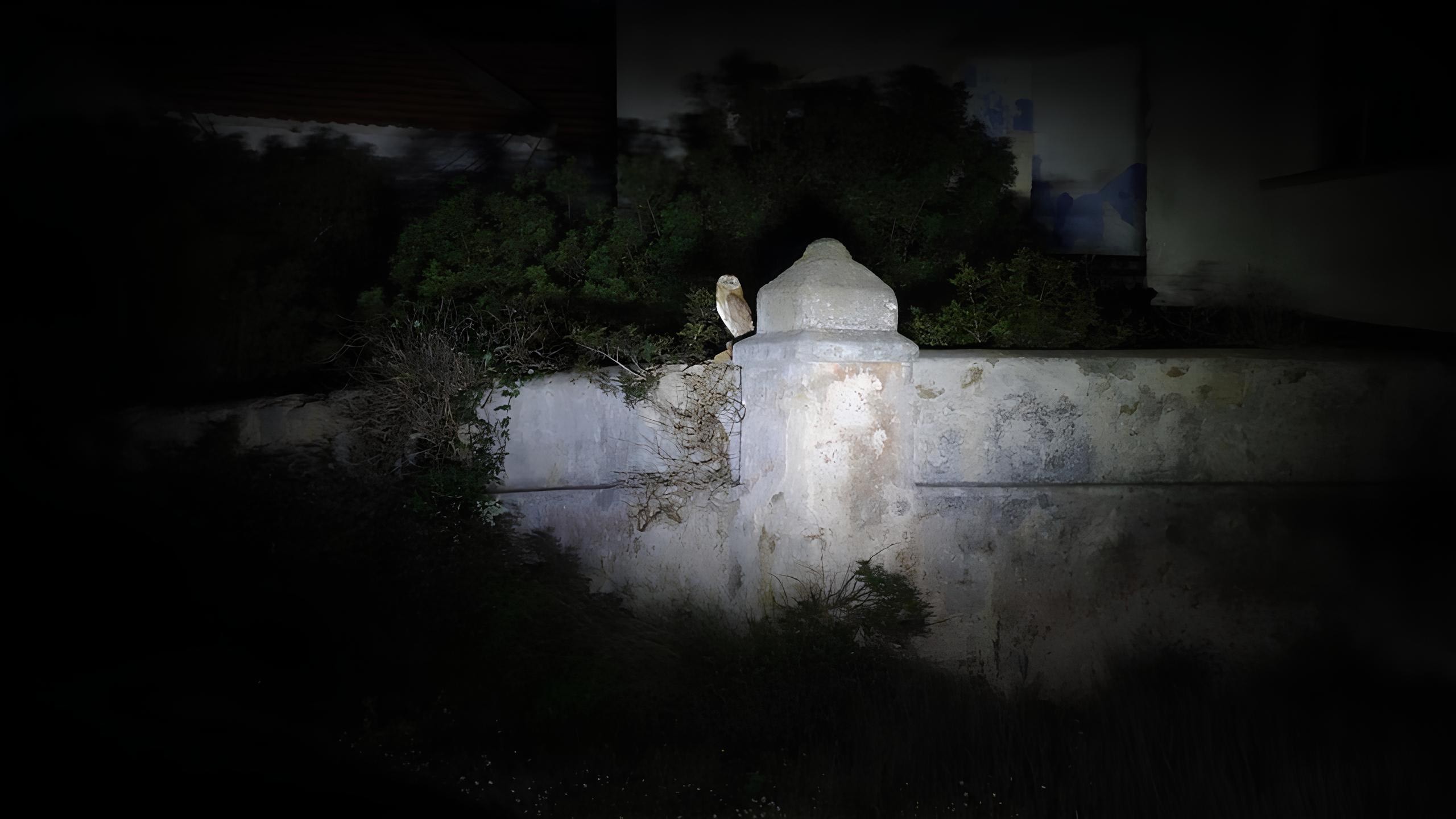 The Barbagianni reborn in the cells of Pianosa who hosted terrorists and mafia bosses