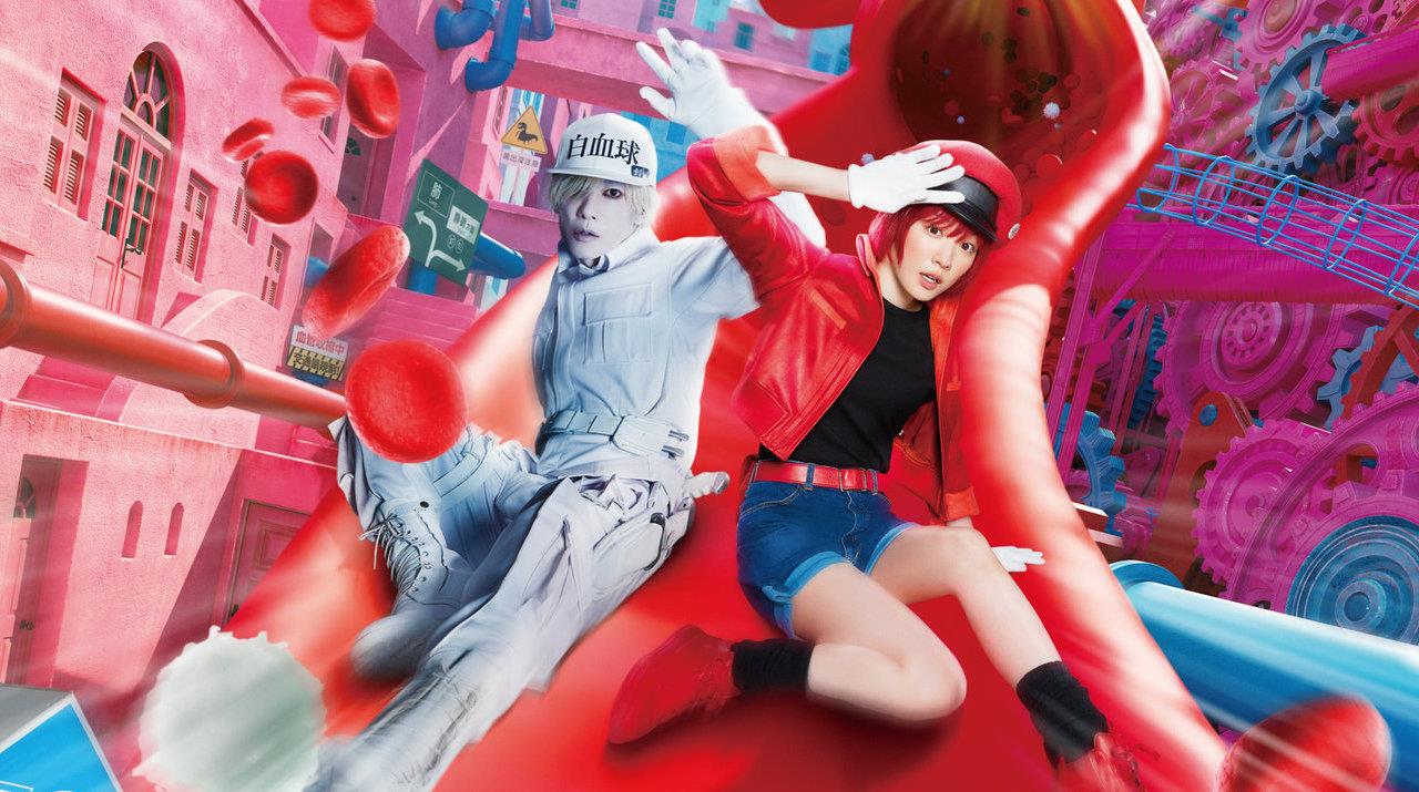 The TV series to watch this week: Aniela, Cells at Work! and small fish 2