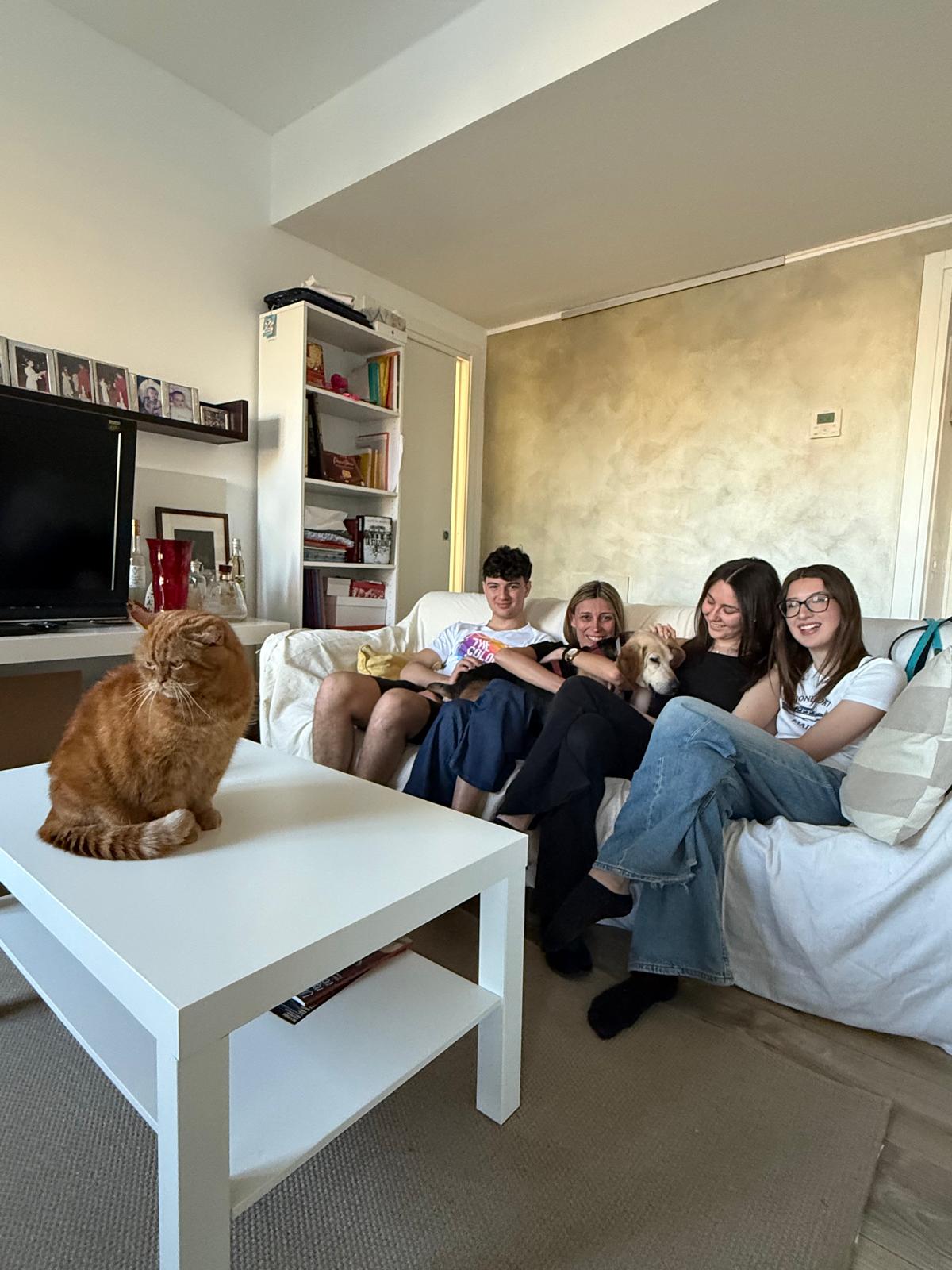 The story of Bosco, adoption of the courier