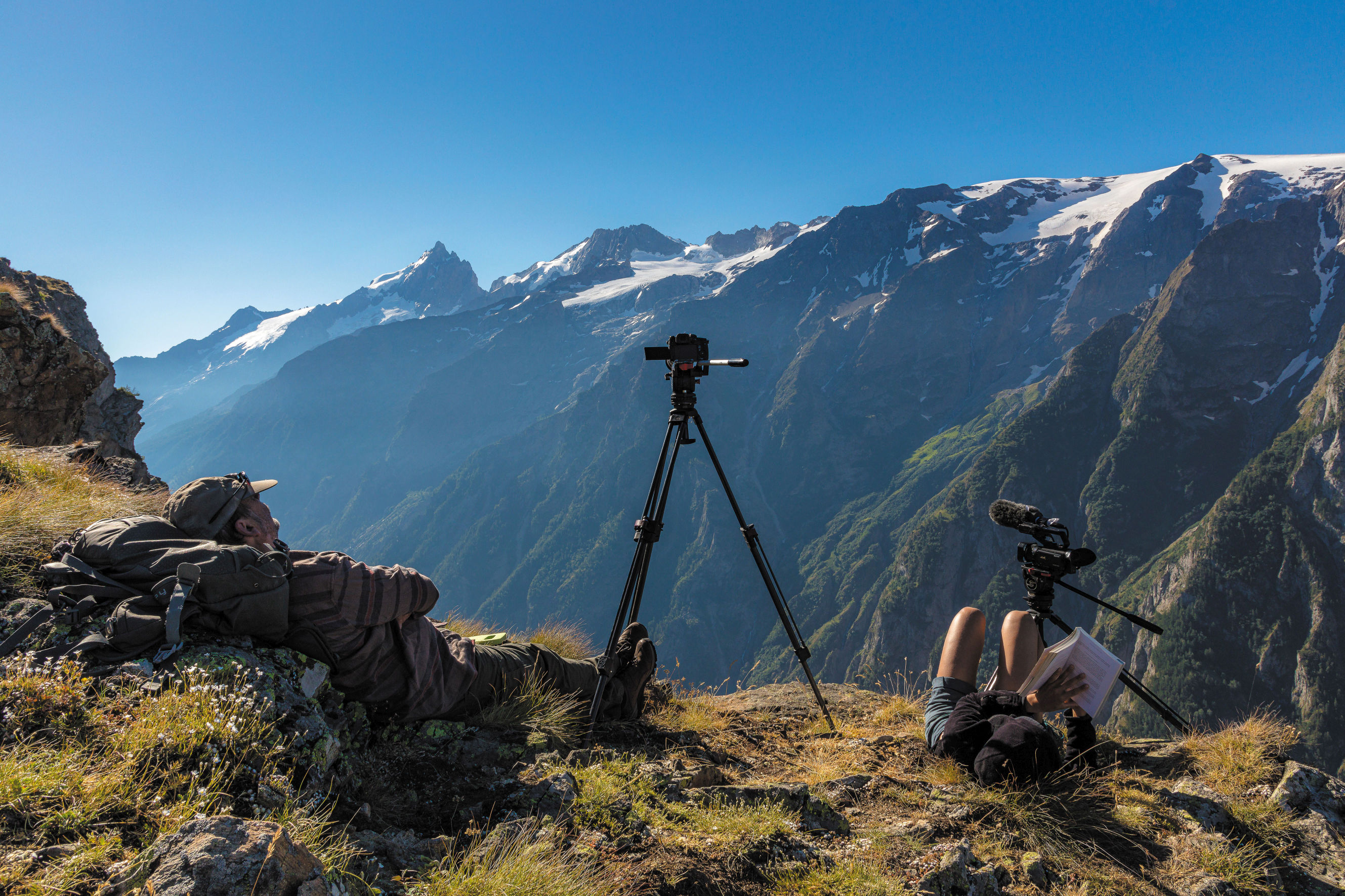 Small wolves grow. Bertrand's Road Movie in the mountains that tells the birth of the new herds
