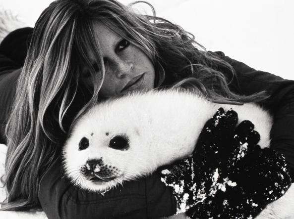 L'ultima intervista a "7" di Brigitte Bardot: «Io una pioniera, fui la  prima vera animalista» | Corriere.it