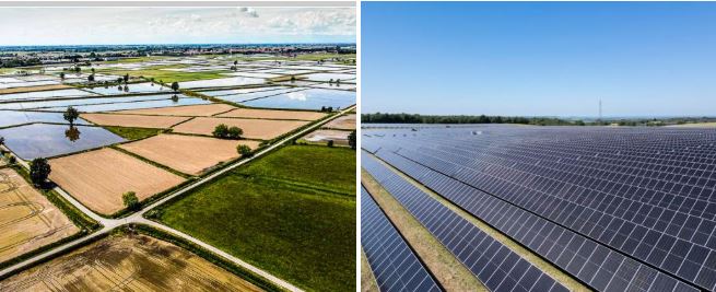 Pavia, il paese «assediato» dai pannelli solari: «Occuperanno il 20% dei terreni agricoli». Meglio produrre cibo o energia green?